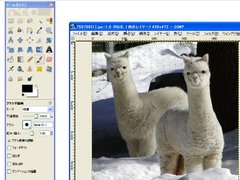 画像